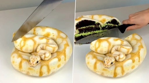 सोशल मीडिया पर स्नेक केक का क्लिप वायरल, असली और नकली सांप में नहीं कर पाएंगे फर्क