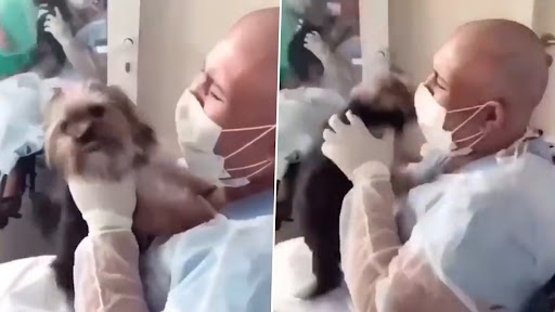 Viral Video: कैंसर का इलाज कराकर 40 दिनों बाद लौटी महिला मिली अपने पेट डॉग से, इमोशनल वीडियो देखकर आंखों में आ जाएंगे आंसू