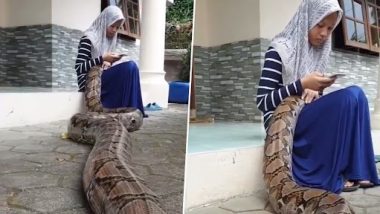 Snake Video: लड़की की गोद में आराम से सोता है ये सांप, हैरान कर देने वाला वीडियो वायरल