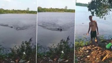 Viral Video: विशाल मगरमच्छ ने तैराक पर किया हमला, कांटी बांह, वीडियो देख डरे लोग