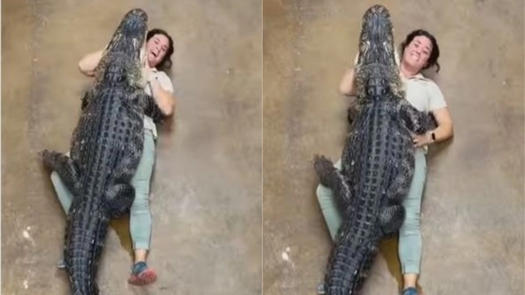 Viral Video: मगरमच्छ को महिला ने ऐसे लगाया गले, जैसे सालों बाद मिला हो कोई बिछड़ा हुआ दोस्त