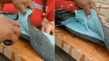 OMG! नीले मीट वाली मछली का वीडियो सोशल मीडिया पर वायरल, जिसे देख आप भी हो जाएंगे हैरान (Watch Viral Video)