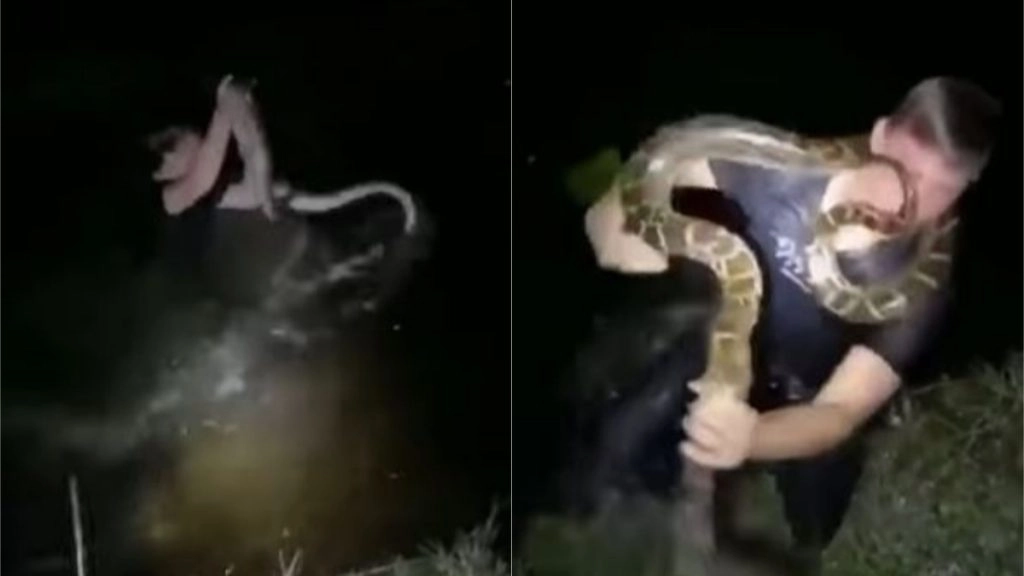 सांप को पकड़ने के लिए लड़के ने नदी में लगाई छलांग, नागराज को खिलौने की तरह पकड़कर निकला बाहर