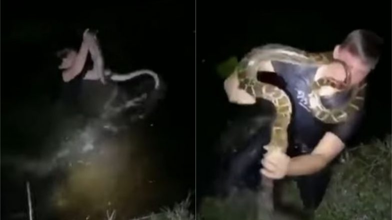 सांप को पकड़ने के लिए लड़के ने नदी में लगाई छलांग, नागराज को खिलौने की तरह पकड़कर निकला बाहर (Watch Viral Video)