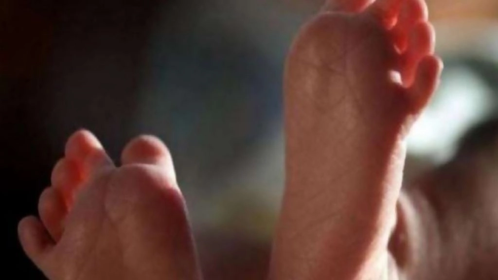 तीन वर्षीय लड़की को डॉक्टर्स ने गलती से किया 'मृत' घोषित, अंतिम संस्कार में जागी, फिर हुई मौत