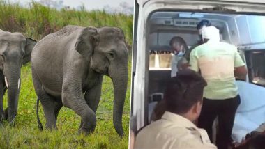 Elephant Attack: पत्नी के साथ जंगली हाथियों के झुंड को देखने गए छत्तीसगढ़ के एसपी पर फूटा गजराज का गुस्सा, ले जाना पड़ा अस्पताल