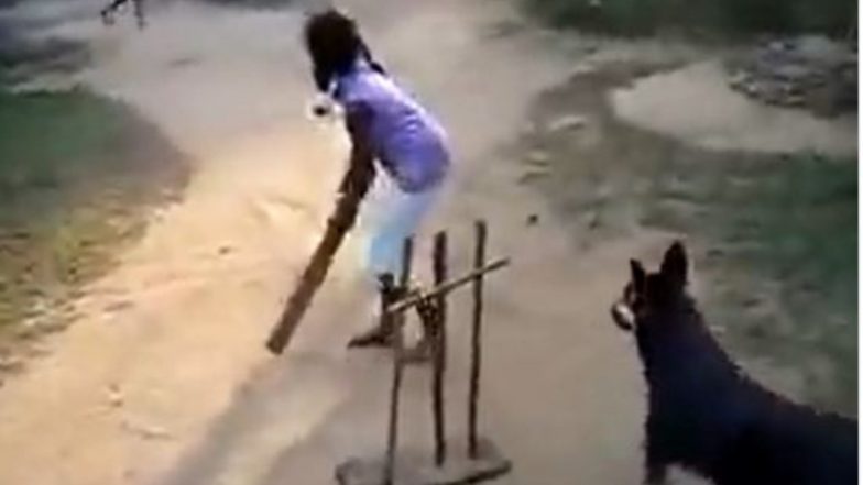 Viral Video: कुत्ते की विकेट कीपिंग देख सचिन तेंदुलकर भी हुए हैरान, गेंद लपकने के अंदाज को देख आप भी हो जाएंगे डॉगी के कायल