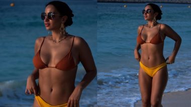 Elena Fernandes Bikini Photos: एलिना फर्नांडिस ने समुंद्र के किनारे खड़े होकर बिकिनी में दिए गजब के पोज, हॉटनेस है कमाल की