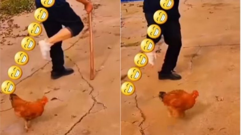 Viral Video: मालिक की नकल उतारती मुर्गी का मजेदार वीडियो हुआ वायरल, उसकी इस हरकत को देख हंसी से लोटपोट हो जाएंगे आप