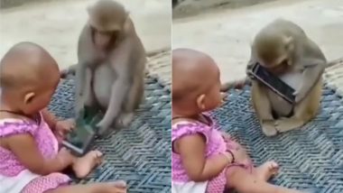 खेलते समय बच्ची के हाथ से बंदर ने छीन लिया मोबाइल, फिर फोन के साथ उसने किया कुछ ऐसा कि हंस पड़ेंगे आप (Watch Viral Video)