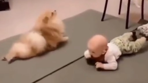 छोटे बच्चे को लेटकर रेंगना सिखाते हुए क्यूट डॉग का क्लिप वायरल, वीडियो देख बन जाएगा दिन