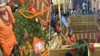 Hanuman Jayanti 2021: हनुमान जयंती पर प्रयागराज में 'लेटे हनुमान' मंदिर में श्रद्धालुओं ने की पूजा, देखें वीडियो
