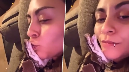 इस लड़की ने सांप किया Hug और Kiss, उसके बाद स्नेक ने दी जबरदस्त प्रतिक्रिया, देखें वीडियो