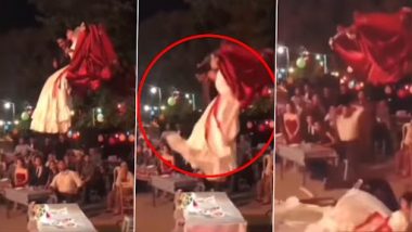 Viral Video: झूले पर दूल्हे और दुल्हन की अनोखी एंट्री हुई फेल, दोनों गिरे धड़ाम से, देखें वीडियो