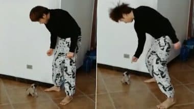 Viral Video: शख्स और छोटे बच्चे ने एक साथ किया डांस, क्यूट वीडियो देख नेटिज़न्स हुए खुश, देखें वीडियो