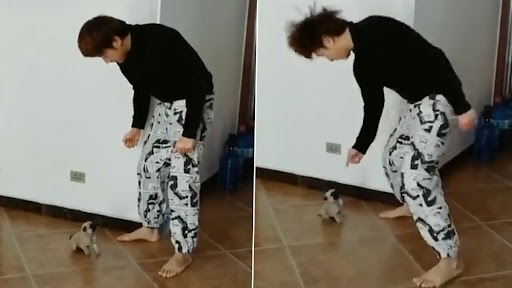 Viral Video: शख्स और छोटे बच्चे ने एक साथ किया डांस, क्यूट वीडियो देख नेटिज़न्स हुए खुश, देखें वीडियो