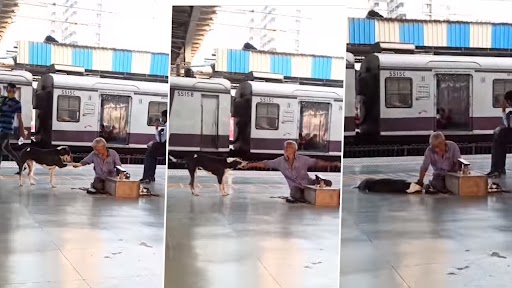Viral Video: बोरीवली रेलवे स्टेशन पर जूते पॉलिश करने वाले बुजुर्ग का कुत्ते के साथ इमोशनल बॉन्डिंग क्लिप वायरल, वीडियो देख बन जाएगा दिन