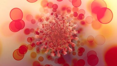 Coronavirus से पुरुषों का Private Part हो सकता है प्रभावित, Penis पर हो सकता है ये असर