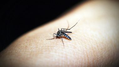 Dengue in Delhi: दिल्ली में डेंगू का कहर, 23 की मौत, 9500 से अधिक मामले अब तक दर्ज