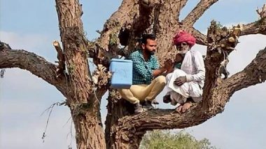 Rajasthan: वैक्सीन का खौफ, पेड़ से नहीं उतर रहा था चरवाहा, स्वास्थ्य कर्मी ने पेड़ पर चढ़ कर लगाया टीका
