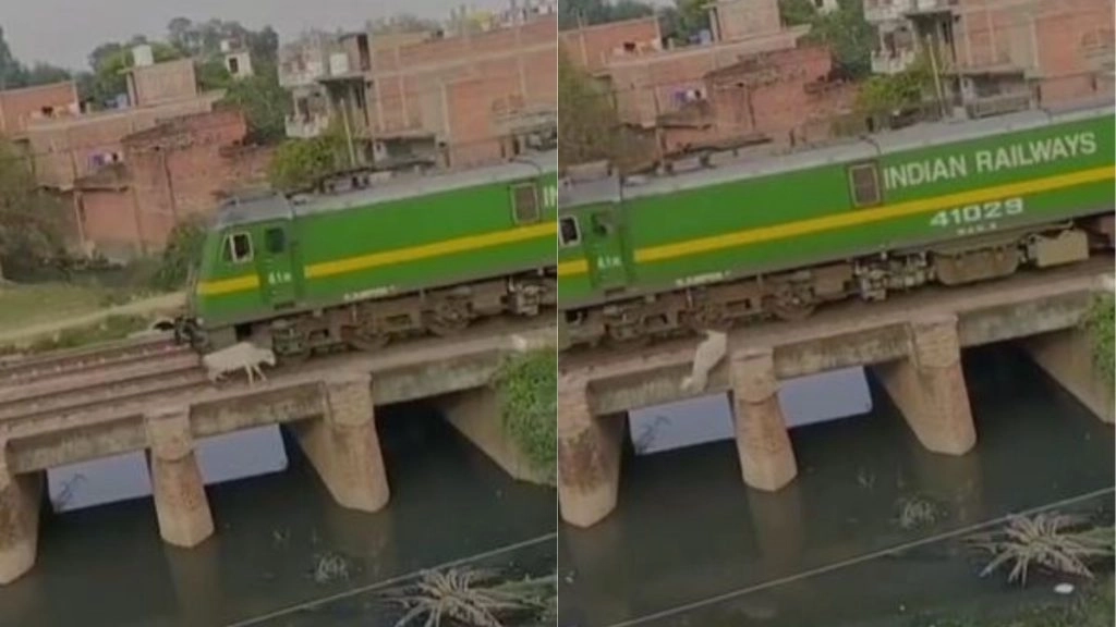 रेलवे ट्रैक पर खड़ी गाय को तेज रफ्तार ट्रेन ने मारी जोरदार टक्कर, एक्सीडेंट का हैरान करने वाला वीडियो हुआ वायरल