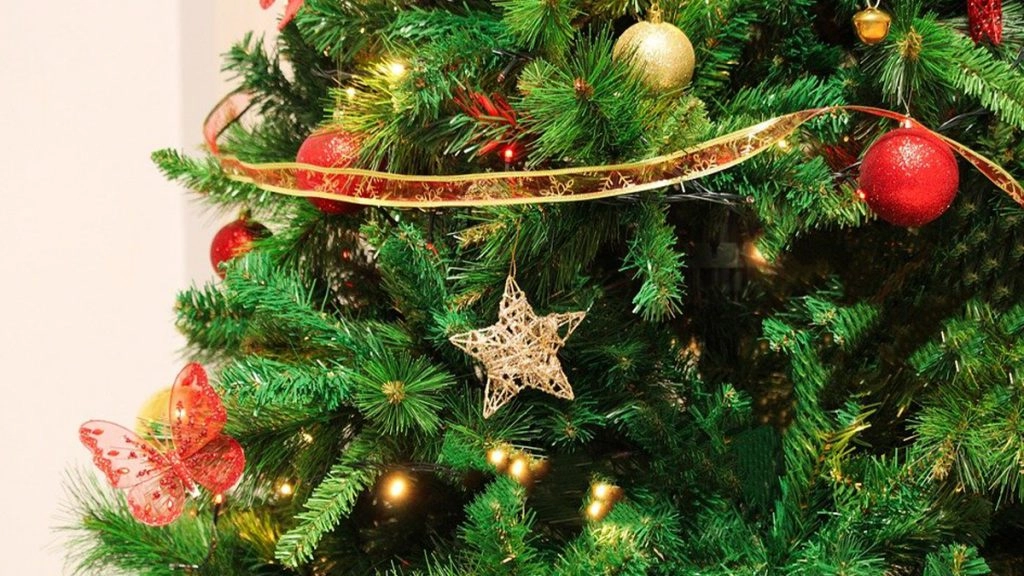 क्रिसमस-ट्री क्यों सजाते हैं? क्या है इसका इतिहास? अगर आप पहली बार क्रिसमस-ट्री ला रहे हैं, तो इन बातों का अवश्य रखें ध्यान!