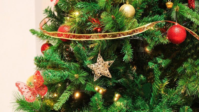 देशभर में Christmas की धूम, पीएम मोदी, राहुल गांधी, अरविंद केजरीवाल ने दी शुभकामनाएं