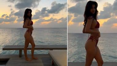 Disha Patani ने बिकिनी पहनकर पोस्ट की बेहद बोल्ड फोटो, कमेंट करने से खुद को रोक नहीं पाई Krishna Shroff