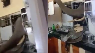 Elephant Viral Video: हाथी ने अपनी सूंड से घर के किचन में जमकर मचाया उत्पात, हैरान करने वाला वीडियो हुआ वायरल