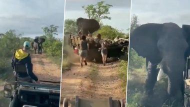 पर्यटकों को पास आते देख भड़के हाथी ने उन पर किया अटैक, गुस्से में जमकर मचाया उत्पात (Watch Viral Video)