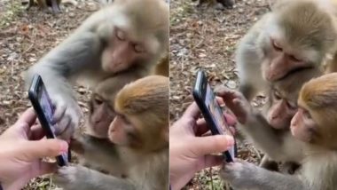 Viral Video: मोबाइल पर बंदरों ने पहली बार वीडियो देखकर दिया ऐसा रिएक्शन, देखकर आप भी कहेंगे वाह