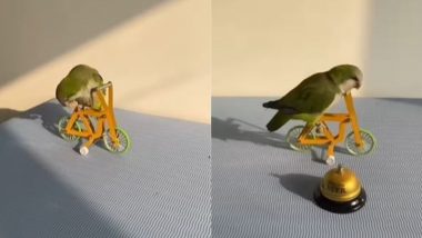 Parrot Viral video: इंसानों की तरह साइकिल चलाते तोते का मजेदार वीडियो हुआ वायरल, जिसे देख बन जाएगा आपका दिन