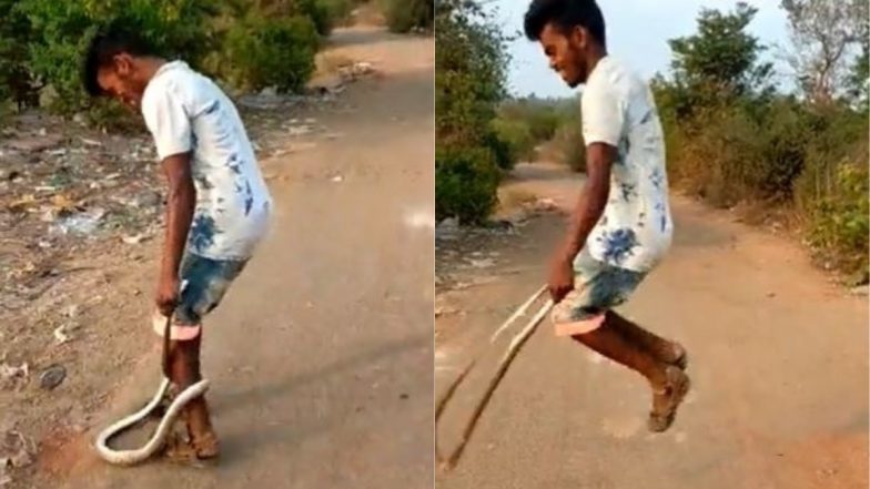 सांप से खिलवाड़! नागराज को रस्सी बनाकर लड़के ने किया यह काम, Viral Video देख आपकी रूह कांप उठेगी