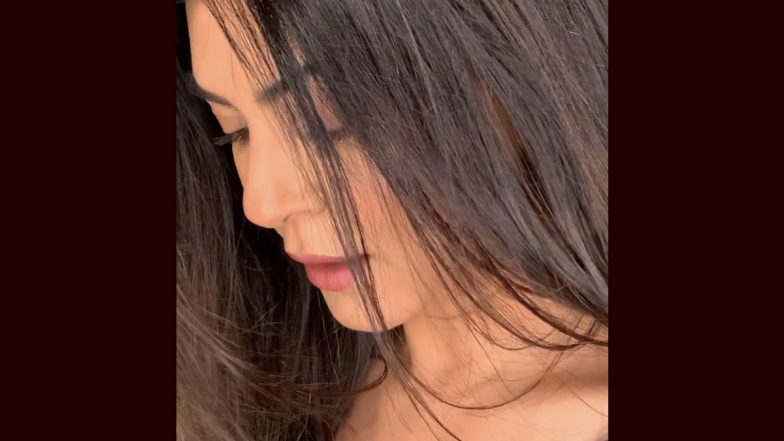 Sushmita Sen ने बॉयफ्रेंड Rohman Shawl से ब्रेकअप के बाद जीवन में महसूस की शांति? नए पोस्ट में कही ऐसी बात