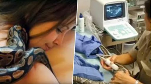 Woman Sleeps With Python: हर रात खतरनाक अजगर के साथ सोती थी महिला, अचानक उसने छोड़ा खाना, डॉक्टर ने किया डेंजर खुलासा