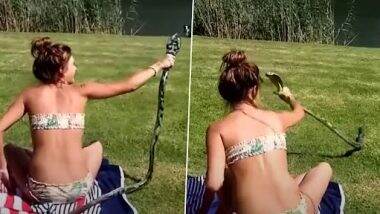 Snake Video: सनबाथ ले रही महिला पर अचानक किंग कोबरा ने कर दिया हमला, उसके बाद जो हुआ...देखें भयानक वीडियो