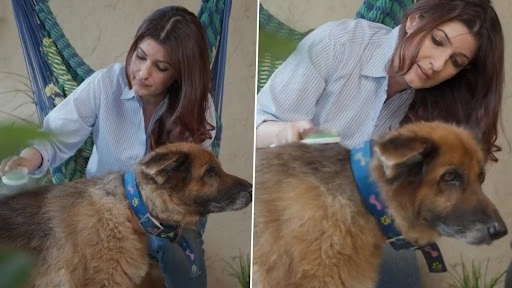 ट्विंकल खन्ना ने अपने डॉग Cleo की कंघी करते हुए शेयर किया पोस्ट, वीडियो ने छुआ लोगों का दिल