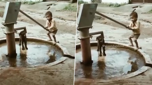 Viral Video: प्यासे कुत्ते को पानी पिलाने के लिए छोटे बच्चे ने चलाया हैंडपंप, वीडियो देख लोग हुए इमोशनल