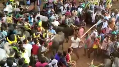 Jallikattu: अचानक डंडे से सांंडों पर हमला करने लगा युवक, मदुरै पुलिस ने किया गिरफ्तार, देखिए VIDEO