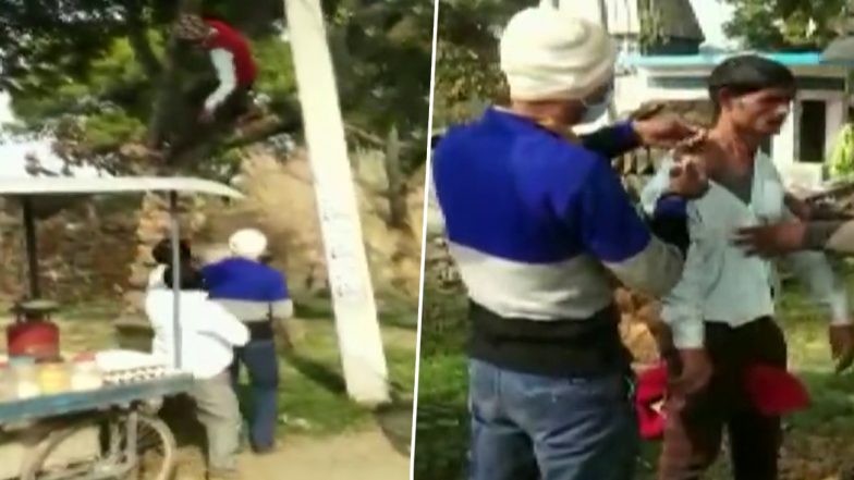 Ballia: बलिया में वैक्सीन न लेने की जिद कर पेड़ पर चढ़ा युवक, देखें वायरल Video