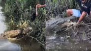 Crocodile Viral Video: खाना खिलाने पहुंचा लड़का तो मगरमच्छ ने कर दिया उसी पर हमला, नजारा देख उड़ जाएंगे आपके होश