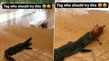 Stunt With Crocodile: खतरनाक मगरमच्छ के साथ शख्स ने किया दिल दहला देने वाला स्टंट, Viral Video देख उड़ जाएंगे होश