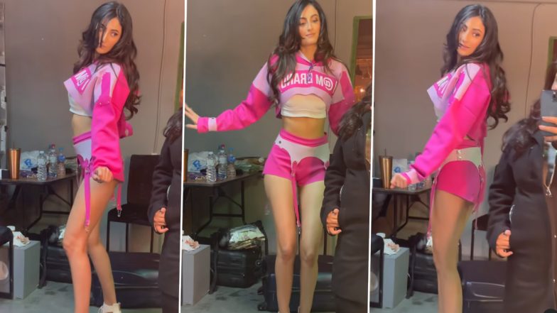 Shweta Tiwari की बेटी Palak Tiwari ने पिंक शॉर्ट्स पहनकर दिखाई अपनी हॉटनेस, Sexy Video हुआ वायरल