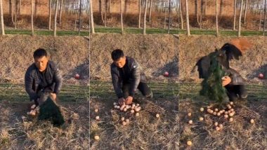 मोरनी को भगाकर उसके अंडे हथियाने लगा शख्स, तभी पक्षी सिखाया ऐसा सबक कि जिंदगी भर रहेगा याद (Watch Viral Video)