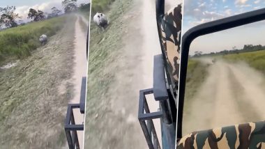 काजीरंगा नेशनल पार्क में गैंडे के हमले से बाल-बाल बचे पर्यटक, Viral Video में देखें कैसे राइनो ने दूर तक किया पीछा