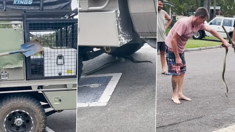 Snake on Car Window: गाड़ी चलाते समय कार की खिड़की पर सांप को देख उड़े कपल के होश, Viral Video में देखें उसके बाद क्या हुआ