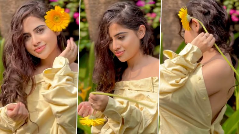 Urfi Javed Hot Video: बालों में सूरजमुखी का फूल लगाए कुछ यूं नजर आईं उर्फी जावेद, बोल्ड अदाओं से एक बार फिर उड़ाए फैन्स के होश