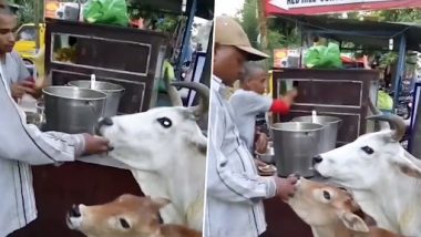 Cow Eating Panipuri: अपने बछड़े के साथ चाव से पानी पूरी खा रही है गाय, वीडियो देख दिल हो जाएगा खुश