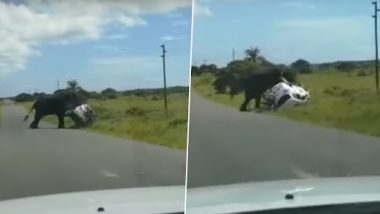 Viral Video: गुस्सैल हाथी ने कार में बैठे 4 लोगों समेत गाड़ी को पलटा, उसके बाद जो हुआ देखें भयावह वीडियो