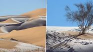 Snowfall in Sahara Desert: दुनिया का सबसे गर्म रेगिस्तान सहारा बर्फ से ढका, तापमान -2 डिग्री तक गिरा, देखें खूबसूरत वीडियो